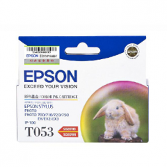 Epson C13T053080 STY Photo/ Photo EX/EX2/ 700/ 710/ 720/ 750/ IP-100 (5-Col) (110/ 193)